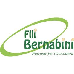 Bernabini Group, Gambettola orari di apertura
