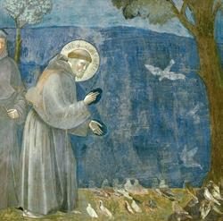 F.lli Di S. Francesco, Isola della Scala orari di apertura