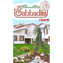 Fratelli Sabbadini Gianni e Alberto, Suzzara orari di apertura