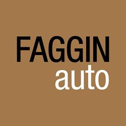 Faggin Auto (Srl), Padova orari di apertura