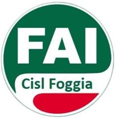 Fai Cisl Fed.ag.alim.amb.industriale, Foggia orari di apertura