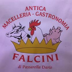 Falcini S.n.c., Empoli orari di apertura