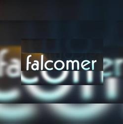 Falcomer SRL, Pordenone orari di apertura