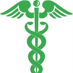 Farmacia Brembana Dr. Mauro Signorelli, Piazza Brembana orari di apertura