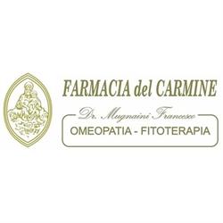 Farmacia del Carmine, Firenze orari di apertura