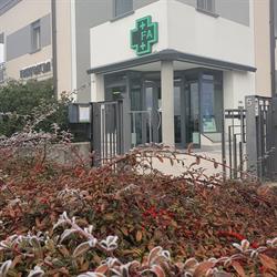 Farmacia Dr. Carita' Marco, Motteggiana orari di apertura