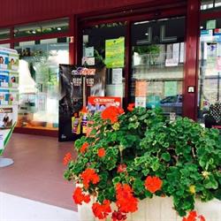 Farmacia Mazzoni Dr. A. Borreca, Notaresco orari di apertura