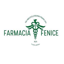 Farmacia Alla Fenice di Pietropoli Claudia, Boara Pisani orari di apertura
