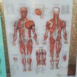 Farmacia S. Anna, Rapallo orari di apertura