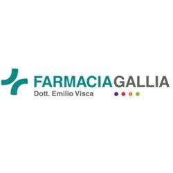 Agenzia Gallia, Roma orari di apertura
