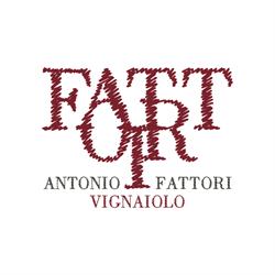 Fattori SRL Roncà, Terrossa - Orari di apertura