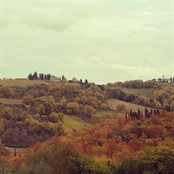 Fattoria Corzano E Paterno S.S., San Casciano in Val di Pesa orari di apertura