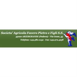 Società' Agricola Favero Pietro e Figli S.S., Arzergrande orari di apertura