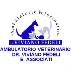 Clinica Veterinaria Dr. Fedeli Viviano, Verona orari di apertura