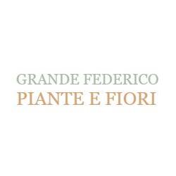 Grande Federico Piante e Fiori, Palermo orari di apertura