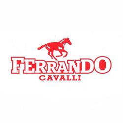 Ferrando Cavalli Di Ferrando Battista' Davide, Favria orari di apertura