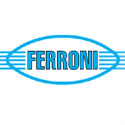 Ferroni, Castelnovo di Sotto orari di apertura