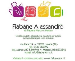 Fiabane Alessandro S.N.C. - Prodotti,attrezzature e macchine per la pulizia, Limana orari di apertura