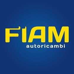Fiam di Omar Luigi Cornara e C. S.n.c., Lecco orari di apertura