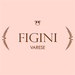 FIGINI RENATO S.N.C. - DI FIGINI ANGELA & C., Varese orari di apertura