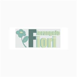 Fiorangelo Fiori, Senago orari di apertura
