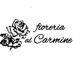 Fioreria al Carmine, Padova orari di apertura