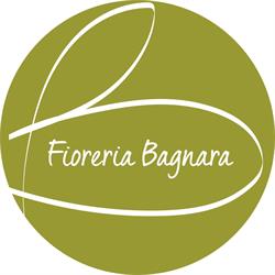 Fioreria Bagnara - Orchidee, Piante & Fiori Freschi Cassola, Termine - Orari di apertura