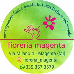 fioreria Magenta, orari di apertura