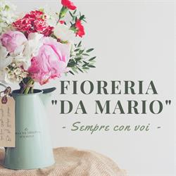 Fioreria Da Mario Di Maiutto Mario, Vittorio Veneto orari di apertura