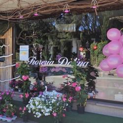 Fioreria Dolina Del Medico Colombo Tavagnacco, Feletto Umberto - Orari di apertura