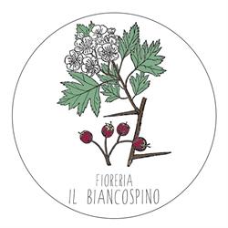 Fioreria Il Biancospino Di Vanzolini Rita, Gabicce Mare orari di apertura