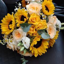 Fioreria Il Bouquet Di Milan Manuela, Bovolenta orari di apertura