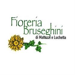 Fioreria e Impresa di Pompe Funebri Bruseghini, Besenello orari di apertura