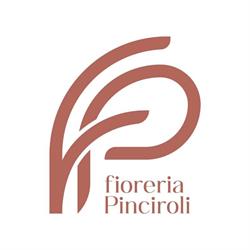 Fioreria Pinciroli Di Pinciroli Mario & C.snc, Busto Arsizio orari di apertura