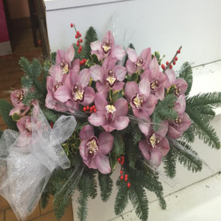 Re di Fiori, San Lazzaro di Savena orari di apertura