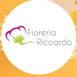 Fioreria Riccardo Di Trevisson Claudio & C. (S.n.c.), Belluno orari di apertura
