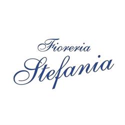 Fioreria Stefania, Treviso orari di apertura