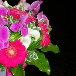 Fiori e Ceramiche Barbara Sermide e Felonica, Sermide - Orari di apertura