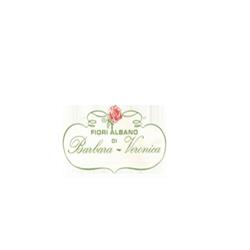 Fiori Albano, Figline e Incisa Valdarno orari di apertura