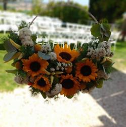 Fiori Piante Annalisa Flor, Senigallia orari di apertura