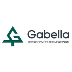 Fiori Gabella Srl, Gambara orari di apertura