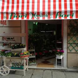 Fiori Monica di Silvestri Monica, La Spezia orari di apertura