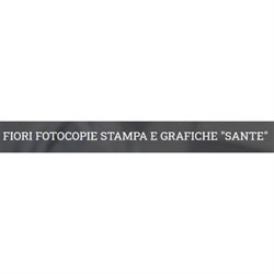 Fiori di Petrini Sante e C., Spoleto orari di apertura
