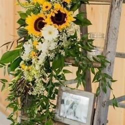 Da Marcella Fiori E Piante, Piombino orari di apertura