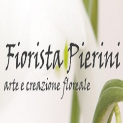 Fiorista Pierini Fabio, Massarosa orari di apertura
