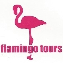 Flamingo Tours, Correggio orari di apertura