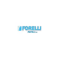 Zincatura Galvanica Fratelli Forelli Sas, Piacenza orari di apertura