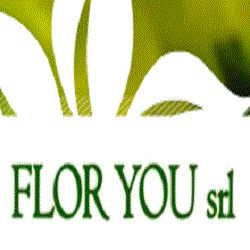 Flor You - Ingrosso Fiori, Gropello Cairoli orari di apertura