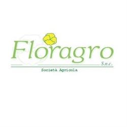 Floragro Di Buono L. E F.Lli S.N.C., Scafati orari di apertura