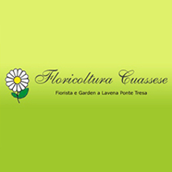 Floricoltura Cuassese, Lavena Ponte Tresa orari di apertura